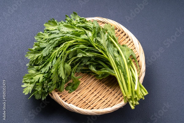 Obraz 春菊