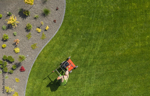 Fototapeta Man Mowing a Well-Maintained Lawn With a Gardening Tool in a Landscaped Yard During Sunny Daytime