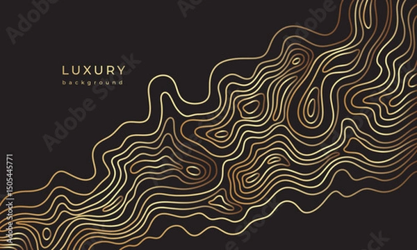 Fototapeta Line topography map. Wavy golden design. Luxury banner with wave pattern. Flowing liquid texture. Gold curves. Abstract geometric dynamical rippled surface. Black background with gold line