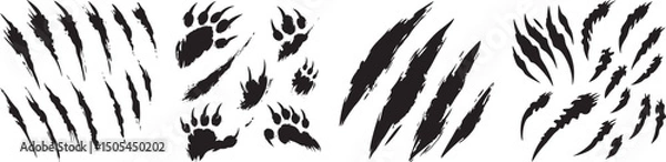 Fototapeta Claw Marks and Paw Prints Vector Set, Isolated on White Background.