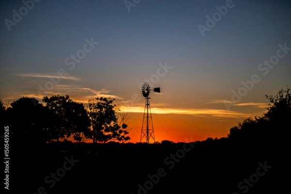 Obraz atardecer dorado