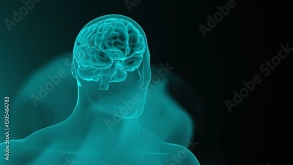 Fototapeta Transparent human figure with glowing brain on dark background with copy space