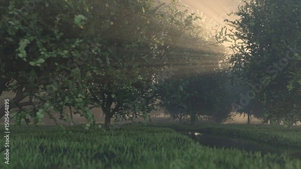 Fototapeta Sunbeams shining through misty forest trees with lush grass and stream