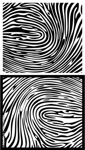 Fototapeta black and white abstract background fingerprint textured