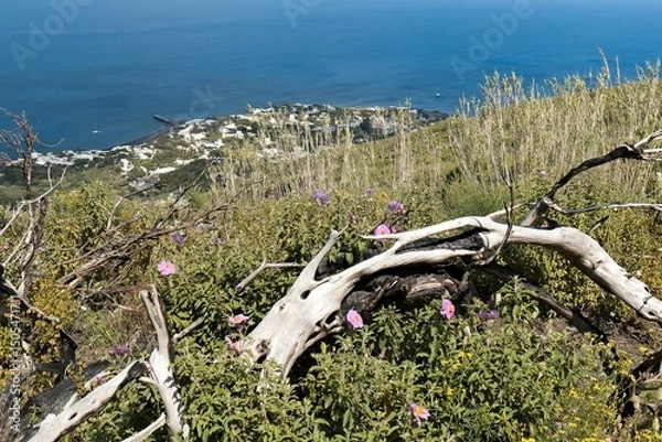 Obraz View of Stromboli village and Tyrrhenian Sea on Stromboli island. Aeolian (Lipari) islands. Italy. Europe. 29th April 2025.