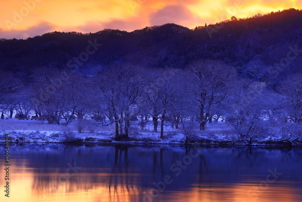 Fototapeta 岩手県 冬の風景