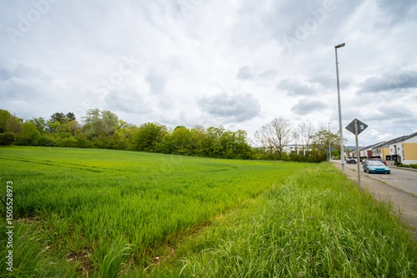 Fototapeta Lush green field contrasts with a suburban street under a cloudy sky, blending nature with everyday life.