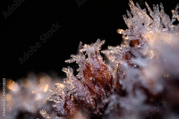 Obraz Birdlike ice crystal on a plant bud (2)