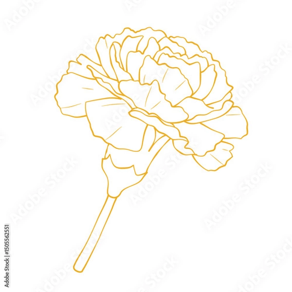 Obraz Elegant gold carnation flower outline vector illustration isolated on white background