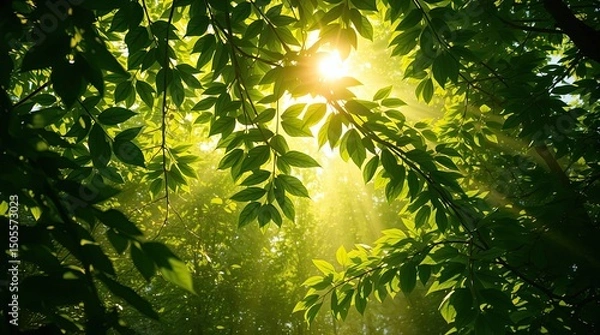 Fototapeta Sunlight streams through lush green leaves creating a vibrant and tranquil forest scene.
