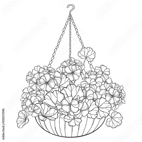 Obraz Bouquet with outline Geranium or Cranesbills flower in flowerpot in black isolated on white background. 