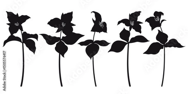 Obraz Set with Trillium grandiflorum or wakerobin flower silhouettes in black isolated on white background.