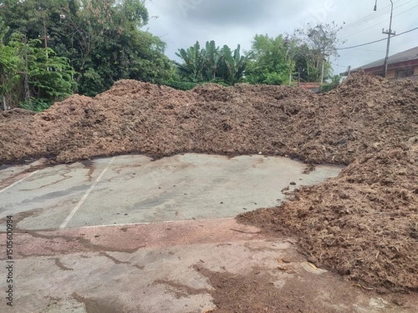 Obraz Bagasse is a fibrous sugarcane residue from sugar mills, ideal for biofuel, paper, and compost, offering eco-friendly solutions and zero-waste potential.