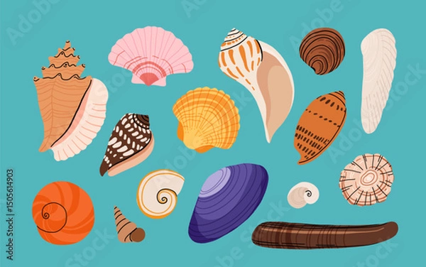 Fototapeta Sea shell cartoon set. Ocean exotic underwater seashell conch aquatic mollusk, sea spiral snail collection. Tropical beach shells. Modern flat style isolated on white background. Vector illustration