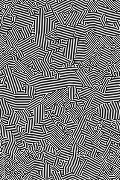 Fototapeta Geometric Black and white line art pattern with small, dense lines forming an abstract maze or network on a pure background of the same color. 