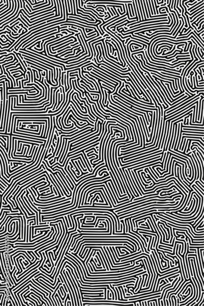 Fototapeta Geometric Black and white line art pattern with small, dense lines forming an abstract maze or network on a pure background of the same color. 