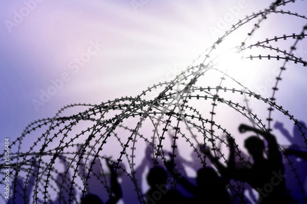Fototapeta barbed wire