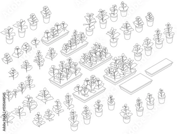 Fototapeta A drawing of a garden with many potted plants. The plants are arranged in various sizes and shapes, and some are grouped together in clusters. The garden appears to be well-maintained and organized