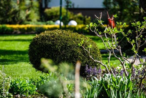 Obraz A vibrant, well-maintained ornamental Lush Flower Garden with Decorative Rock and Mulch. Ideal image for themes related to landscaping, gardening, backyard design, and nature aesthetics.