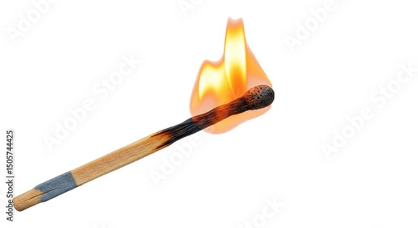 Obraz Isolated Burning Matchstick