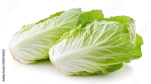 Obraz Fresh whole chinese cabbage isolated on a white background.