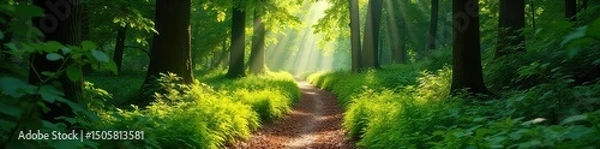 Fototapeta Sun-dappled forest path winding through lush greenery, dappled sunlight filtering through leaves, vibrant summer foliage Perfect for travel, nature, and environmental themes , shadows, lush, trail