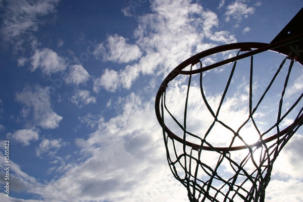 Obraz nuthin' but net