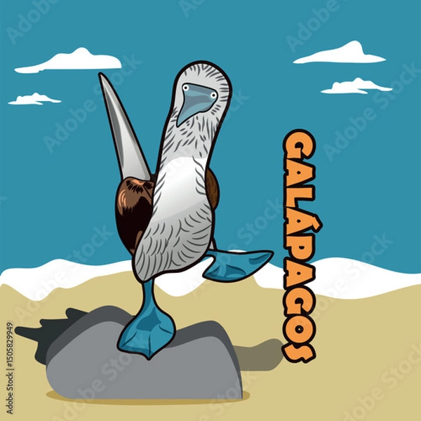 Obraz Galapagos card