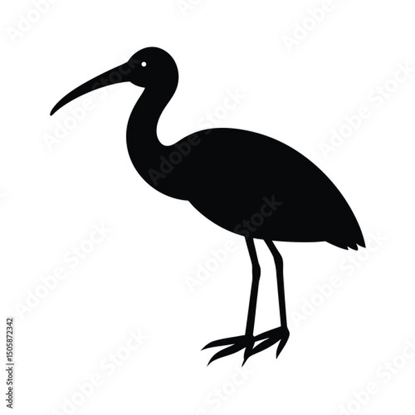 Obraz Ibis Sleek Vector Silhouette Design