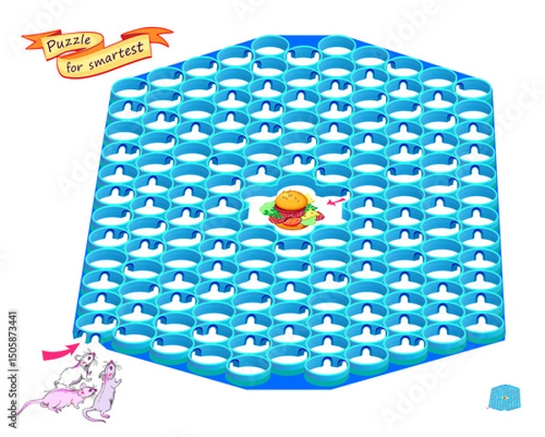 Fototapeta Best labyrinths. Can you help the mice find the way to the hamburger? Logic puzzle game for children and adults. Brain teaser book with maze. Educational page. Kids activity sheet. Vector illustration