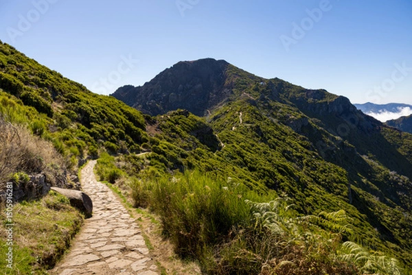 Obraz Hiking trail in Pico Ruivo on summer day. Madeira island, Portugal