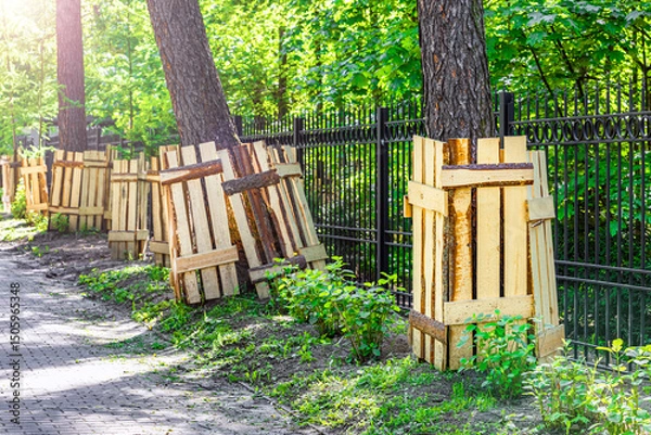 Fototapeta tree trunk protection made from wooden planks. tree protection during landscaping. protective cover for tree trunk. construction work in the park