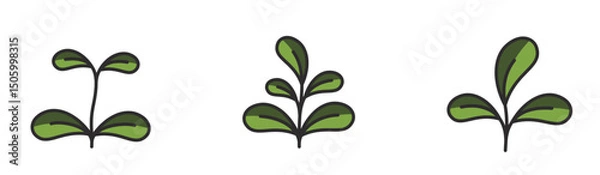 Obraz Sprout with rounded leaves in green colors. Spring, seedling and planting design elements. Isolated vector images