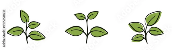Obraz Plant with four leaves illustrations. Nature, gardening and botany design elements. Isolated vector images