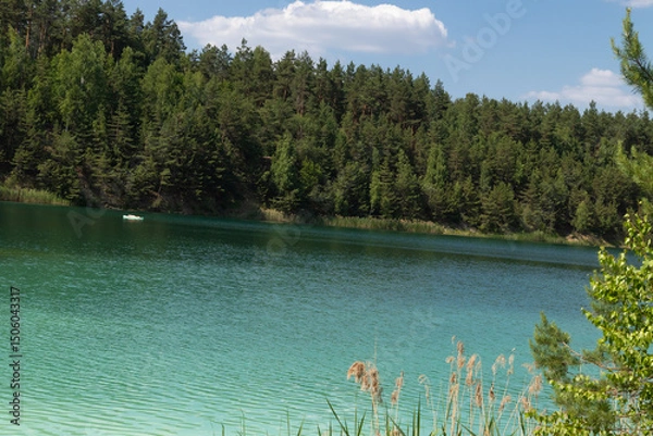 Fototapeta turquoise water lake surrounded by pine trees, top view.It's a beautiful summer day.background, a place to copy