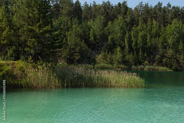 Fototapeta turquoise water lake surrounded by pine trees, view into the distance.It's a beautiful summer day.background, a place to copy
