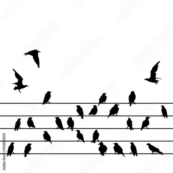 Fototapeta Silhouette of a group of birds sitting on wires on a white background
