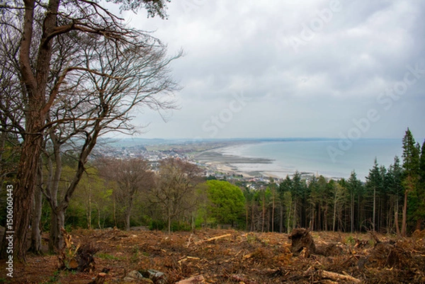 Fototapeta Mourne Mountains in Newcastle, Northern Ireland. View on Mountain, Forest and Irish Sea from above