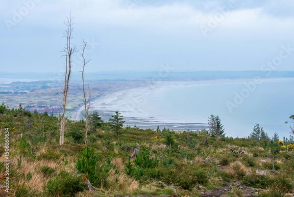 Fototapeta Mourne Mountains in Newcastle, Northern Ireland. View on Mountain, Forest and Irish Sea from above