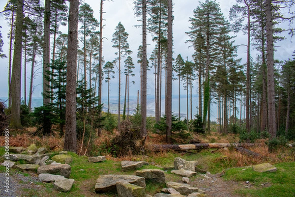 Fototapeta Mourne Mountains in Newcastle, Northern Ireland. View on Mountain, Forest and Irish Sea from above