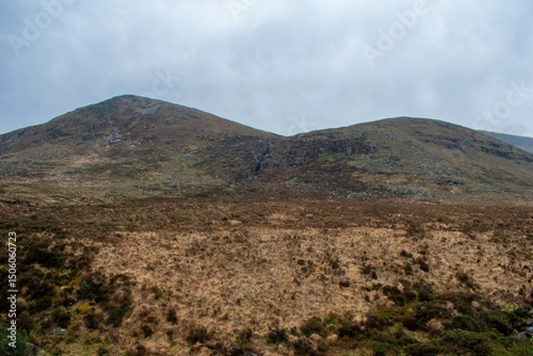 Fototapeta Mourne Mountains in Newcastle, Northern Ireland. View on Mountain, Forest and Irish Sea from above