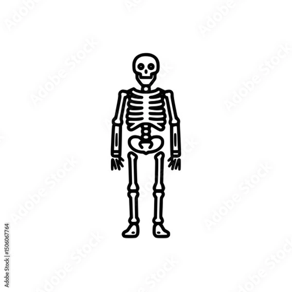Fototapeta Detailed line art icon set representing a human skeleton in a standing pose, useful for educational and design purposes in various contexts