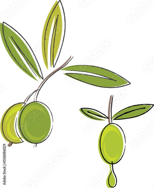 Obraz Vector illustration of an olive branch with a drop of oil. Perfect for Mediterranean food, organic products, wellness, nature, health, cosmetics, and eco-friendly design concepts.