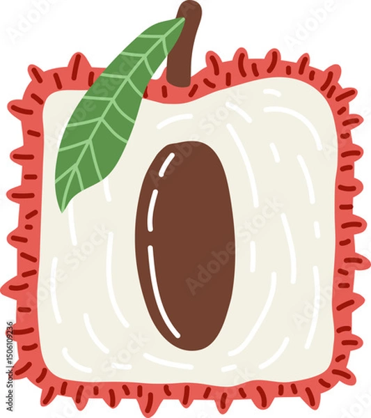 Fototapeta Artistic hand drawn illustration of square lychee with leaf. Vector drawing of half of exotic fruit with seed and pulp isolated on white background. Drawing of summer vegan dessert for your printing.