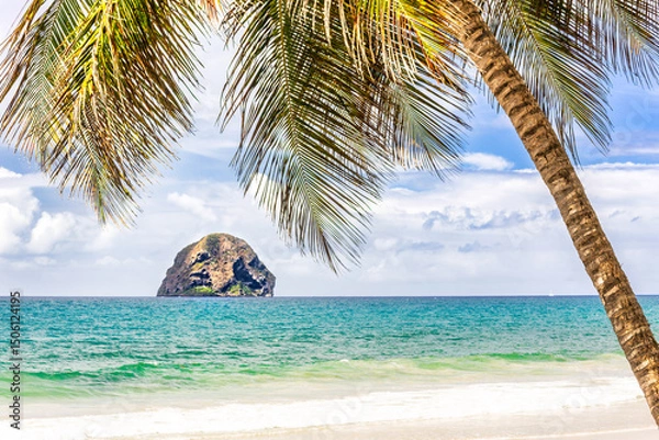 Obraz Diamond Rock island in Martinique, France framed by a coconut tree. Diamond Rock is a basalt island located south of Grande Anse du Diamant. The uninhabited island is about 2km from Pointe Diamant.
