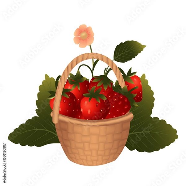 Fototapeta Basket of strawberries on the background of a strawberry bush. Vector illustration isolated on a white background.