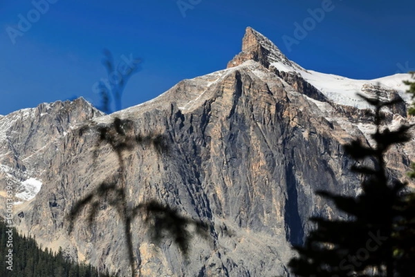 Obraz CarMar Peak -also Marpole South of Marpole SW1- towering upon Emerald Basin on the west shore of Emerald Lake. Yoho NP-British Columbia-Canada-295