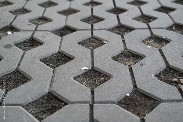 Fototapeta Background texture of square tiles made of gray natural stone. Concrete street covering of road, geometric paving pattern, green lawn and eco parking, green parking, sustainable development city	
