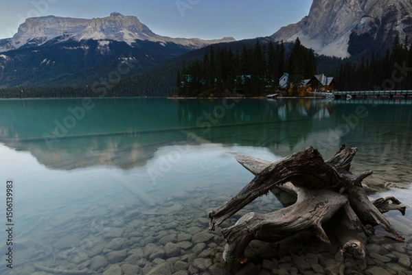Obraz Fallen trunk in Emerald Lake southwest end at sunset, backed by the Emerald Lodge peninsula and bridge, Wapta and Burgess Peaks. Yoho NP-BC-Canada-303