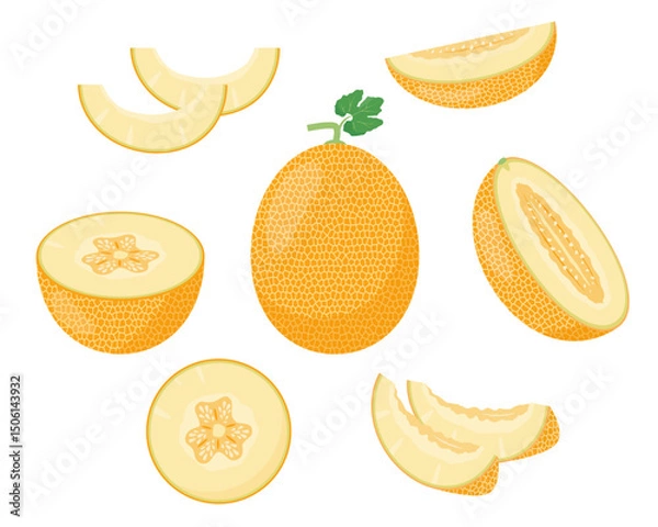 Fototapeta Yellow Melon fruit icons. Whole ripe melon, half, slice and pieces. Organic fruit for juice, smoothie or vitamin healthy food. Vector illustration isolated on white background.